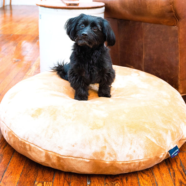 Cozy LV Pet Beds made for luxury cats dogs puppies